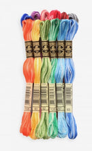 Charger l'image dans la galerie, Fils Mouliné spécial 117 dégradé 18 couleurs