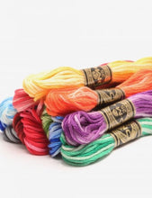 Charger l'image dans la galerie, Fils Mouliné spécial 117 dégradé 18 couleurs