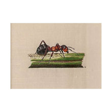 Charger l'image dans la galerie, Insectes et plantes en peinture à l'aiguille