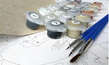 Charger l'image dans la galerie, Kit tableau peinture par numéro 40 x 40 cm