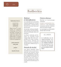 Charger l'image dans la galerie, Plantes tinctoriales