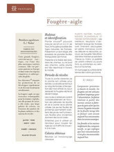 Charger l'image dans la galerie, Plantes tinctoriales