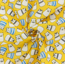 Charger l'image dans la galerie, Tissu pul imperméable chat 155 cm