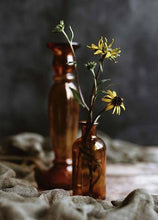 Charger l'image dans la galerie, Plantes tinctoriales