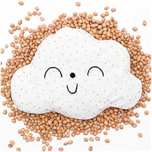 Charger l'image dans la galerie, Sac de rembourrage de noyaux de cerises 750 g