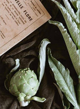 Charger l'image dans la galerie, Plantes tinctoriales