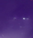 Charger l'image dans la galerie, Pâte Cernit Opaline couleurs/14 couleurs/56 g unité.