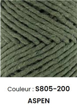 Charger l'image dans la galerie, Fils Eco Barbante Spesso Chunky Coton 200 g 29 couleurs