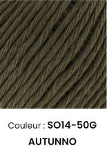 Charger l'image dans la galerie, Fils Somen 50 g 14 couleurs.