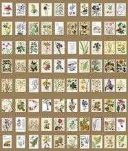 Charger l'image dans la galerie, Bloc de 365 feuilles assorties thème artistique 4 cm X 5 cm 10 modèles