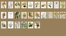 Charger l'image dans la galerie, Bloc de 365 feuilles assorties thème artistique 4 cm X 5 cm 10 modèles