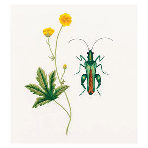 Insectes et plantes en peinture à l'aiguille