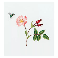 Charger l&#39;image dans la galerie, Insectes et plantes en peinture à l&#39;aiguille
