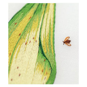 Insectes et plantes en peinture à l'aiguille