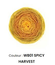 Charger l&#39;image dans la galerie, Fil wavy blends Hoooked 250 g 9 couleurs
