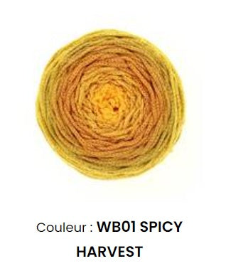 Fil wavy blends Hoooked 250 g 9 couleurs