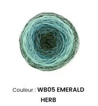 Charger l&#39;image dans la galerie, Fil wavy blends Hoooked 250 g 9 couleurs
