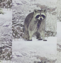 Charger l&#39;image dans la galerie, Tissu Stenzo jersey impression raccoon 150 cm
