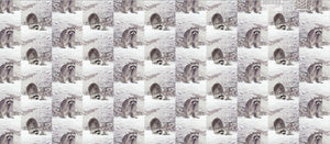 Tissu Stenzo jersey impression raccoon 150 cm