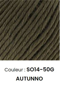 Fils Somen 50 g  14 couleurs.