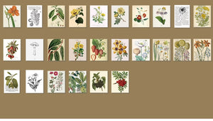 Bloc de 365 feuilles assorties thème artistique 4 cm X 5 cm/10 modèles